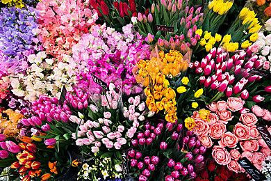 前国际游戏开发者协会主席成立3A工作室Muddy Robot